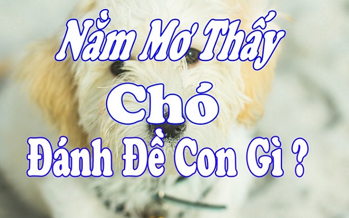 Nhà cái kimsa giải mã giấc mơ thấy chó nên đánh con gì?